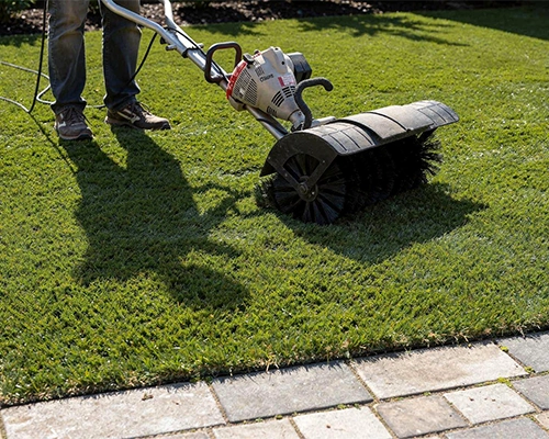 Erba sintetica Verona