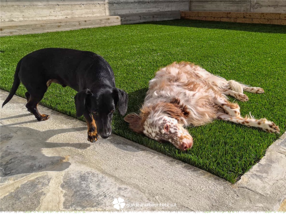 Realizzazioni Il giardino perfetto per i tuoi animali