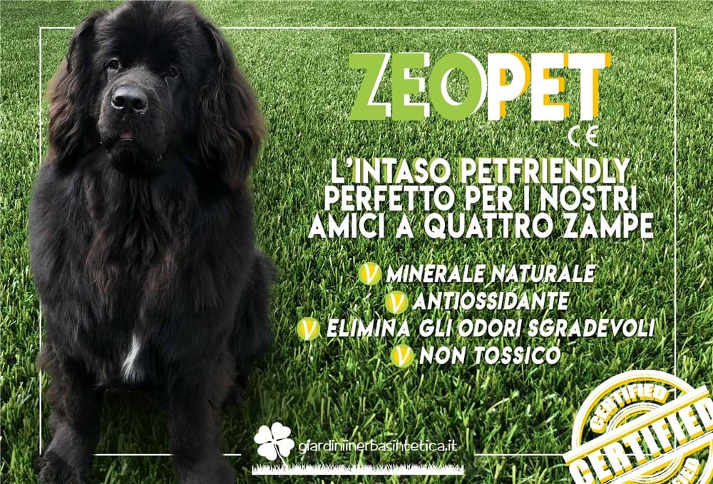 News Grandi novità per un intaso 100 % PETFRIENDLY con ZEOPET! 