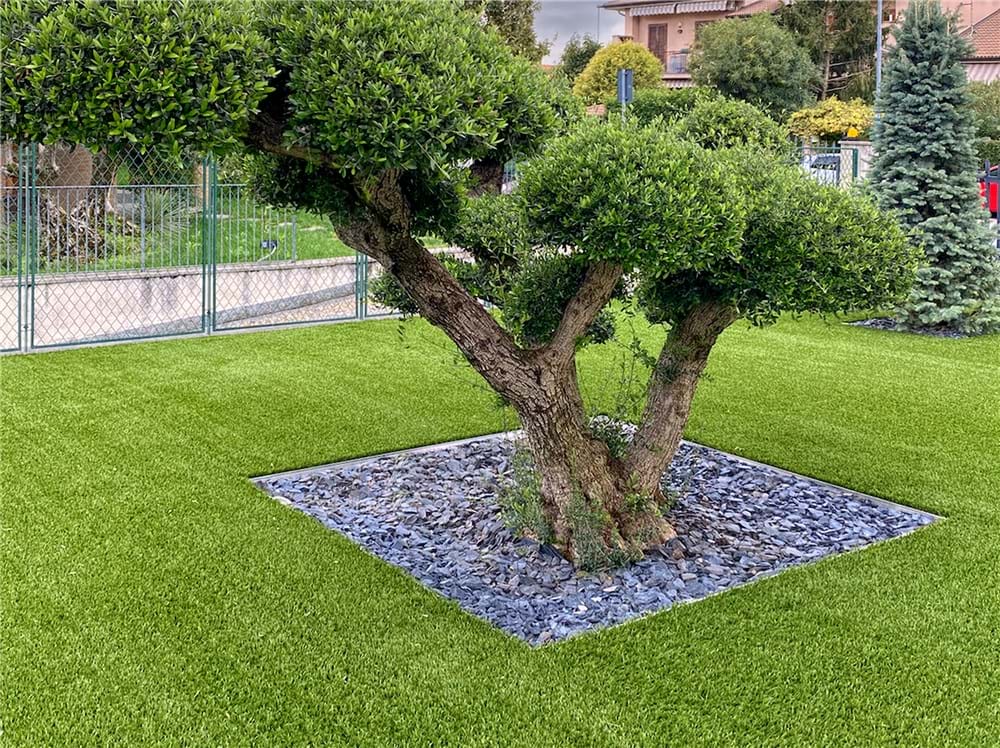 News ERBA SINTETICA DA ESTERNO: INFORMAZIONI UTILI